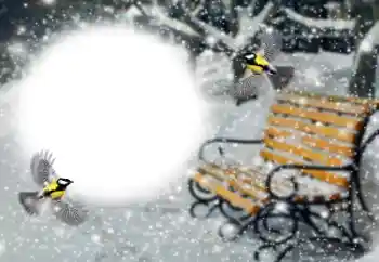 PhotoEffect da categoria Inverno № 191760