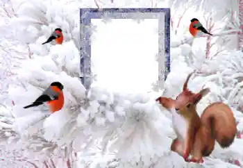 PhotoEffect da categoria Inverno № 194148