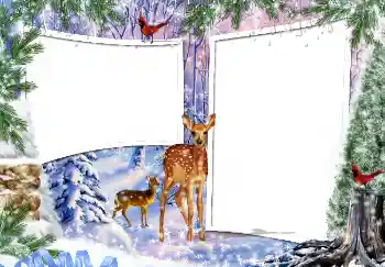 PhotoEffect da categoria Inverno № 3364