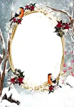 PhotoEffect da categoria Inverno № 3374