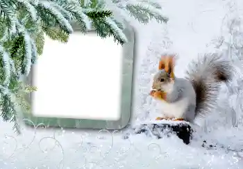 PhotoEffect da categoria Inverno № 3375