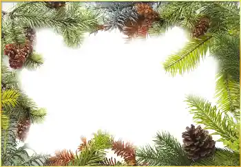 PhotoEffect da categoria Inverno № 3395