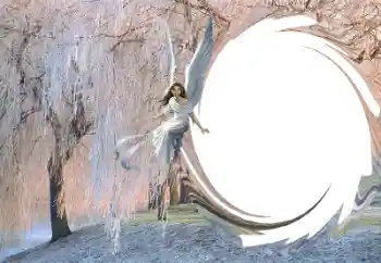 PhotoEffect da categoria Inverno № 36261