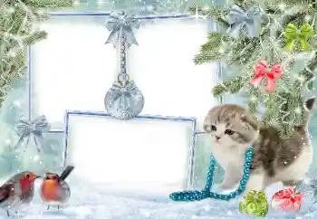 PhotoEffect da categoria Inverno № 38960