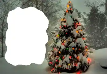 PhotoEffect da categoria Inverno № 65514 PhotoEffect da categoria Inverno № 65514