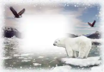 PhotoEffect da categoria Inverno № 67044 PhotoEffect da categoria Inverno № 67044