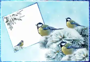 PhotoEffect da categoria Inverno № 87962