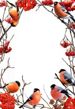 PhotoEffect da categoria Inverno № 90578 PhotoEffect da categoria Inverno № 90578