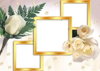 PhotoEffect da categoria Molduras para fotografias de casamento № 104 PhotoEffect da categoria Molduras para fotografias de casamento № 104