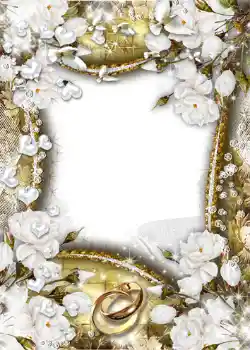 PhotoEffect da categoria Molduras para fotografias de casamento № 1066 PhotoEffect da categoria Molduras para fotografias de casamento № 1066