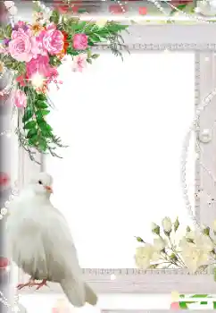 PhotoEffect da categoria Molduras para fotografias de casamento № 113119