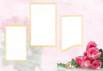 PhotoEffect da categoria Molduras para fotografias de casamento № 114398