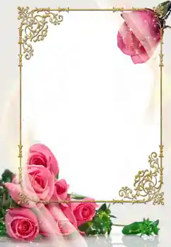 PhotoEffect da categoria Molduras para fotografias de casamento № 114400