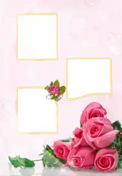 PhotoEffect da categoria Molduras para fotografias de casamento № 114401