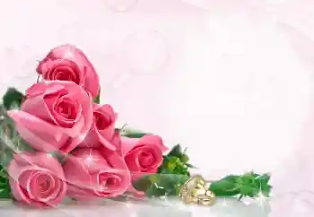 PhotoEffect da categoria Molduras para fotografias de casamento № 114402