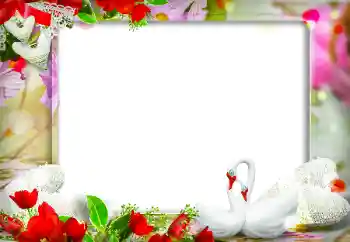 PhotoEffect da categoria Molduras para fotografias de casamento № 120004