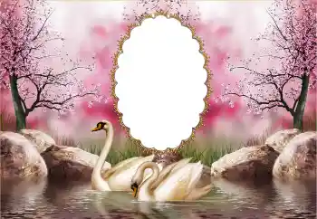 PhotoEffect da categoria Molduras para fotografias de casamento № 121126