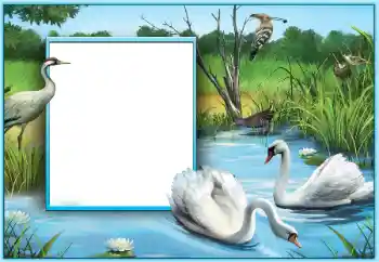 PhotoEffect da categoria Molduras para fotografias de casamento № 124253