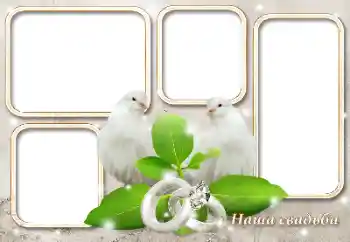 PhotoEffect da categoria Molduras para fotografias de casamento № 124417. Texto na moldura: O nosso casamento