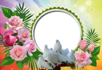 PhotoEffect da categoria Molduras para fotografias de casamento № 130157