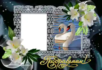 PhotoEffect da categoria Molduras para fotografias de casamento № 130161. Texto na moldura: Parabens!