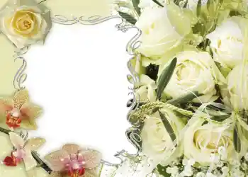 PhotoEffect da categoria Molduras para fotografias de casamento № 135 PhotoEffect da categoria Molduras para fotografias de casamento № 135
