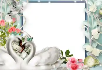 PhotoEffect da categoria Molduras para fotografias de casamento № 143577 PhotoEffect da categoria Molduras para fotografias de casamento № 143577