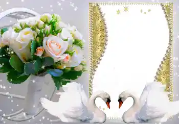 PhotoEffect da categoria Molduras para fotografias de casamento № 149216 PhotoEffect da categoria Molduras para fotografias de casamento № 149216