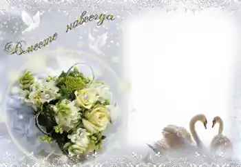 PhotoEffect da categoria Molduras para fotografias de casamento № 15058. Texto na moldura: Вместе навсегда!