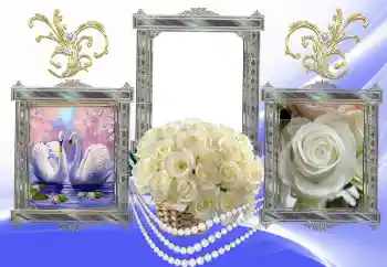 PhotoEffect da categoria Molduras para fotografias de casamento № 154587 PhotoEffect da categoria Molduras para fotografias de casamento № 154587