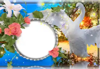 PhotoEffect da categoria Molduras para fotografias de casamento № 157109 PhotoEffect da categoria Molduras para fotografias de casamento № 157109
