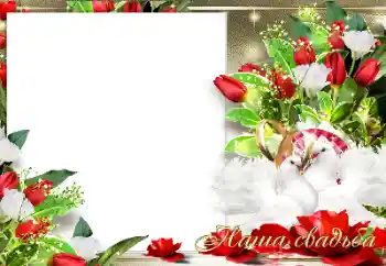 PhotoEffect da categoria Molduras para fotografias de casamento № 157113. Texto na moldura: O nosso casamento PhotoEffect da categoria Molduras para fotografias de casamento № 157113. Texto na moldura: O nosso casamento