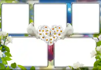 PhotoEffect da categoria Molduras para fotografias de casamento № 157149 PhotoEffect da categoria Molduras para fotografias de casamento № 157149