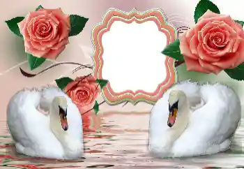 PhotoEffect da categoria Molduras para fotografias de casamento № 160854 PhotoEffect da categoria Molduras para fotografias de casamento № 160854