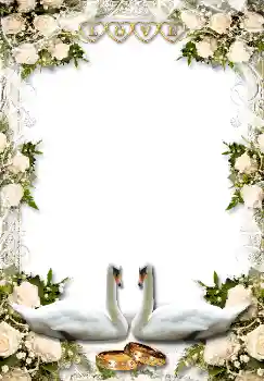 PhotoEffect da categoria Molduras para fotografias de casamento № 1634 PhotoEffect da categoria Molduras para fotografias de casamento № 1634