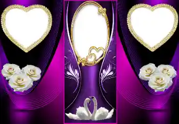 PhotoEffect da categoria Molduras para fotografias de casamento № 164875 PhotoEffect da categoria Molduras para fotografias de casamento № 164875