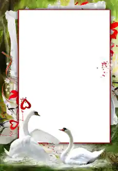 PhotoEffect da categoria Molduras para fotografias de casamento № 166120 PhotoEffect da categoria Molduras para fotografias de casamento № 166120