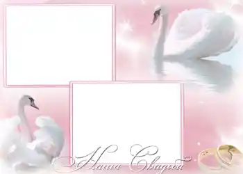 PhotoEffect da categoria Molduras para fotografias de casamento № 168. Texto na moldura: O nosso casamento