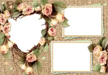 PhotoEffect da categoria Molduras para fotografias de casamento № 17007 PhotoEffect da categoria Molduras para fotografias de casamento № 17007