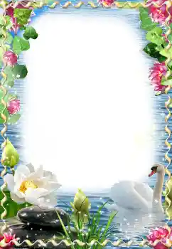 PhotoEffect da categoria Molduras para fotografias de casamento № 174059 PhotoEffect da categoria Molduras para fotografias de casamento № 174059