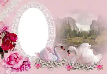 PhotoEffect da categoria Molduras para fotografias de casamento № 175415 PhotoEffect da categoria Molduras para fotografias de casamento № 175415