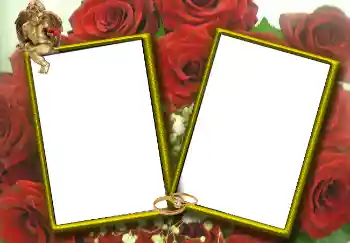 PhotoEffect da categoria Molduras para fotografias de casamento № 1768 PhotoEffect da categoria Molduras para fotografias de casamento № 1768