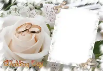 PhotoEffect da categoria Molduras para fotografias de casamento № 31729. Texto na moldura: Wedding Day PhotoEffect da categoria Molduras para fotografias de casamento № 31729. Texto na moldura: Wedding Day