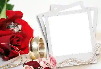 PhotoEffect da categoria Molduras para fotografias de casamento № 31736 PhotoEffect da categoria Molduras para fotografias de casamento № 31736