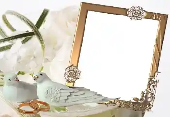 PhotoEffect da categoria Molduras para fotografias de casamento № 32814 PhotoEffect da categoria Molduras para fotografias de casamento № 32814