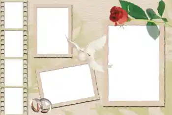 PhotoEffect da categoria Molduras para fotografias de casamento № 36230 PhotoEffect da categoria Molduras para fotografias de casamento № 36230