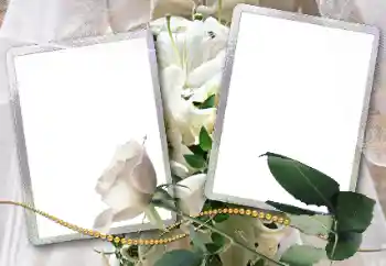 PhotoEffect da categoria Molduras para fotografias de casamento № 38398 PhotoEffect da categoria Molduras para fotografias de casamento № 38398