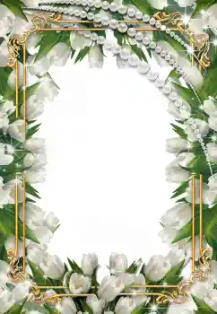 PhotoEffect da categoria Molduras para fotografias de casamento № 38588 PhotoEffect da categoria Molduras para fotografias de casamento № 38588
