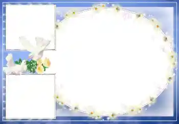 PhotoEffect da categoria Molduras para fotografias de casamento № 39329 PhotoEffect da categoria Molduras para fotografias de casamento № 39329