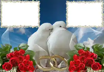PhotoEffect da categoria Molduras para fotografias de casamento № 3951 PhotoEffect da categoria Molduras para fotografias de casamento № 3951